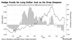 配资炒股市场|对冲基金错误看多遭损失美元大势已去？